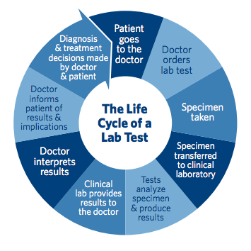 Life Cycle of a Lab Test